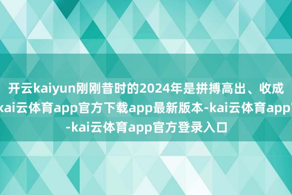 开云kaiyun刚刚昔时的2024年是拼搏高出、收成超卓的一年-kai云体育app官方下载app最新版本-kai云体育app官方登录入口