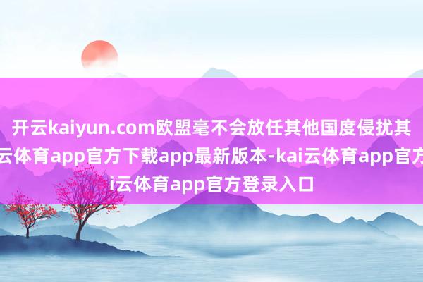 开云kaiyun.com欧盟毫不会放任其他国度侵扰其主权-kai云体育app官方下载app最新版本-kai云体育app官方登录入口